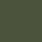Dark Green Fabric