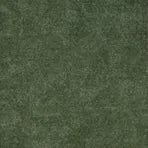Dark Green Fabric