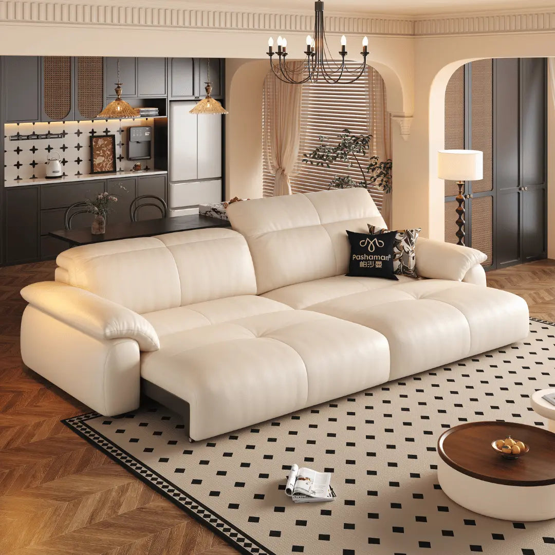 NEXAR Leather Electric Sofa Bed