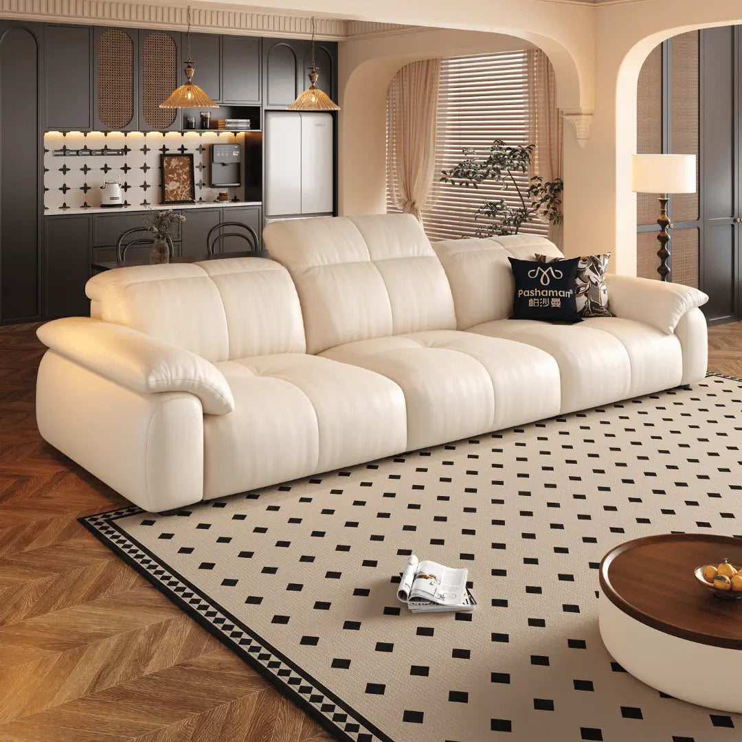 NEXAR Leather Electric Sofa Bed