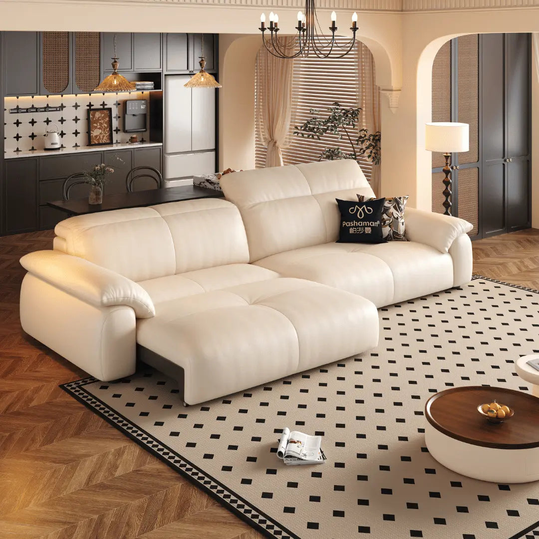 NEXAR Leather Electric Sofa Bed
