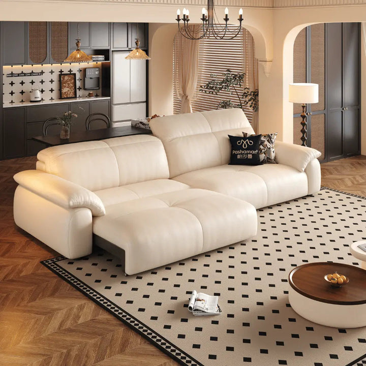 NEXAR Leather Electric Sofa Bed