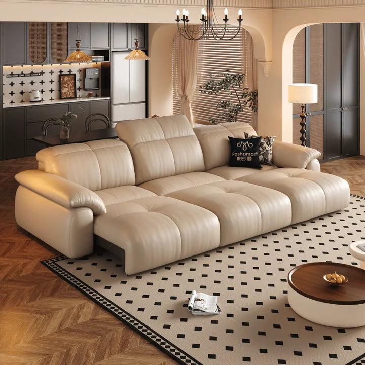 NEXAR Leather Electric Sofa Bed