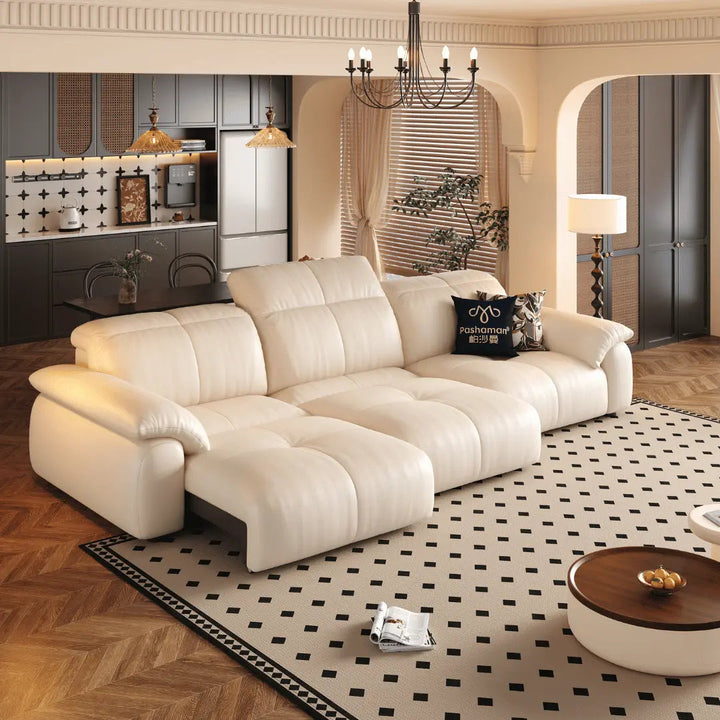 NEXAR Leather Electric Sofa Bed