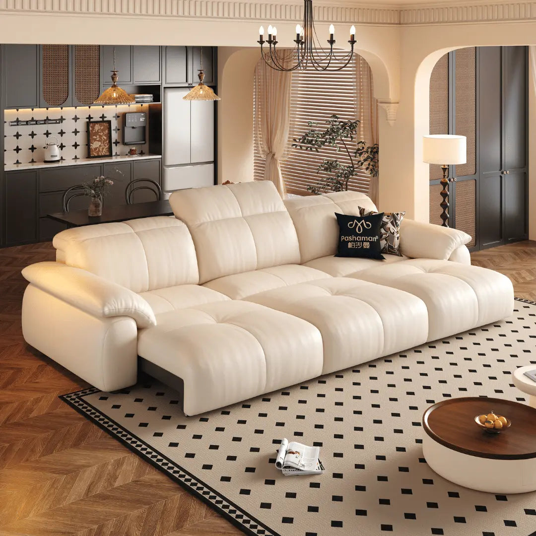 NEXAR Leather Electric Sofa Bed