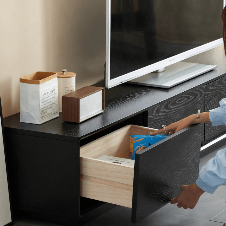 BAETO Modern Solid Wood TV Console - Exclusivia