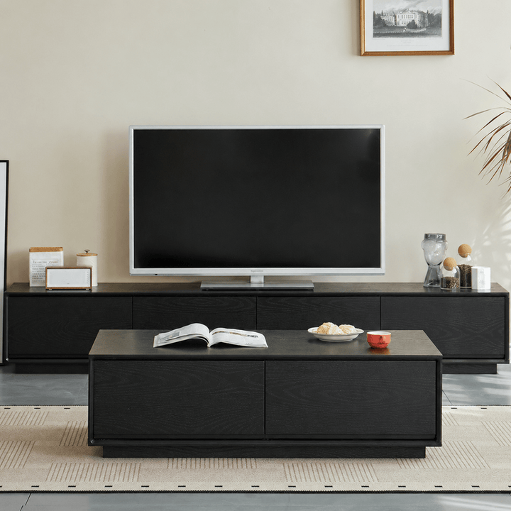 BAETO Modern Solid Wood TV Console - Exclusivia