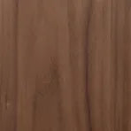 Dark Wood