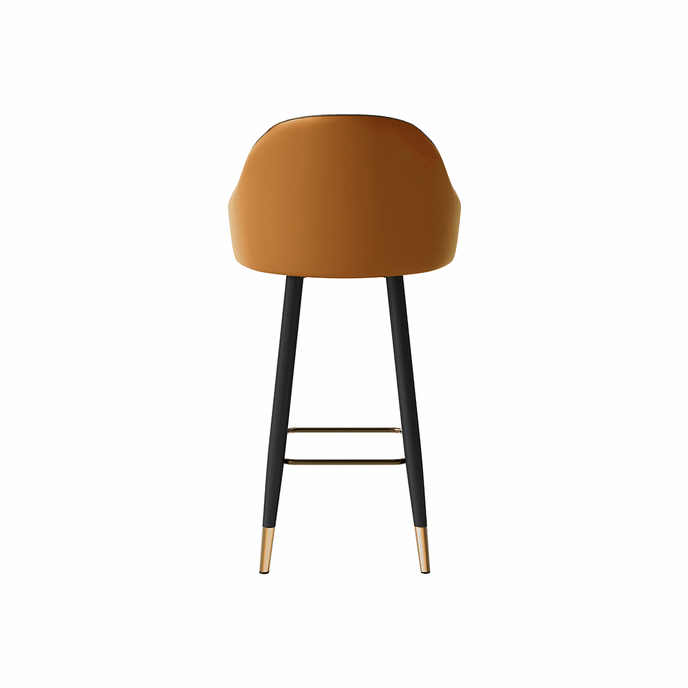 Torin 61 cm Modern Counter Stools – Set of 2