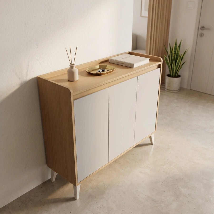 FENIX 3 Door Shoe Cabinet