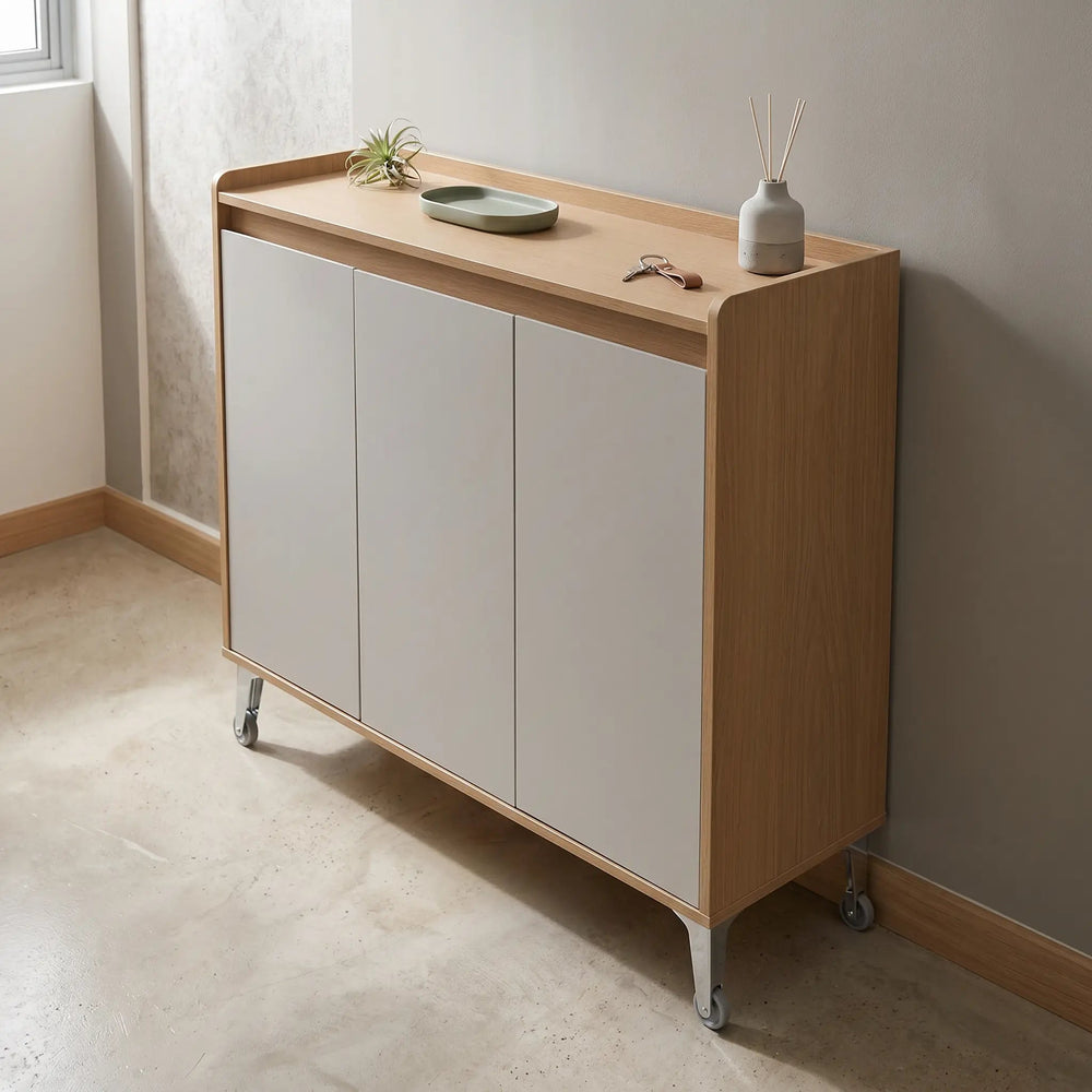 FENIX 3 Door Shoe Cabinet