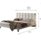 COCO Modern Boucle Bedframe - Exclusivia