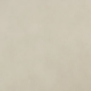 Concrete Gray