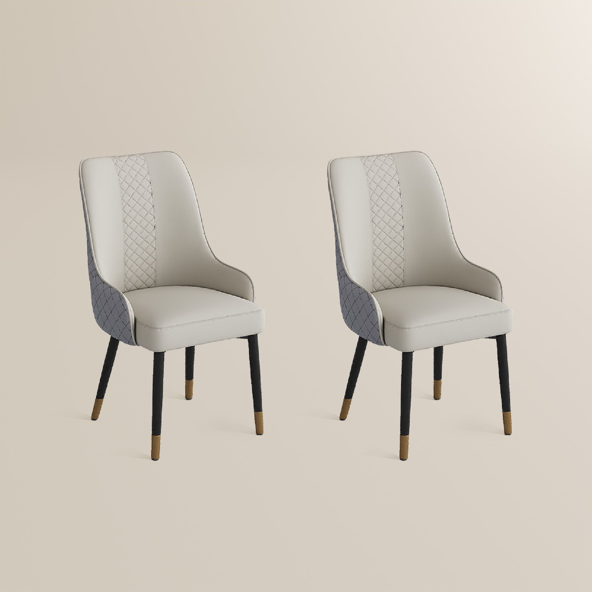 Norrin – Set of 2 Modern Upholstered Dining Chairs