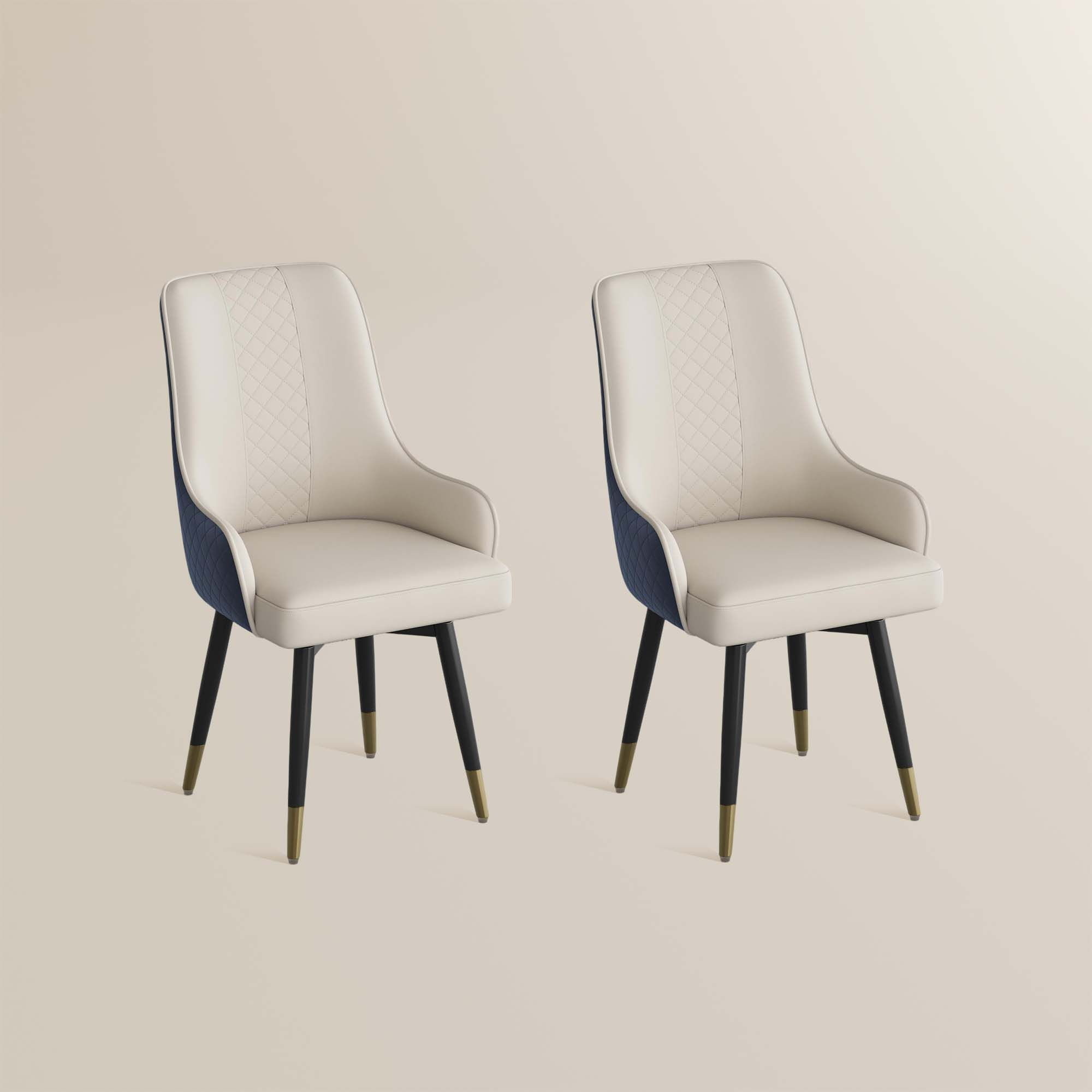 Norrin – Set of 2 Modern Upholstered Dining Chairs