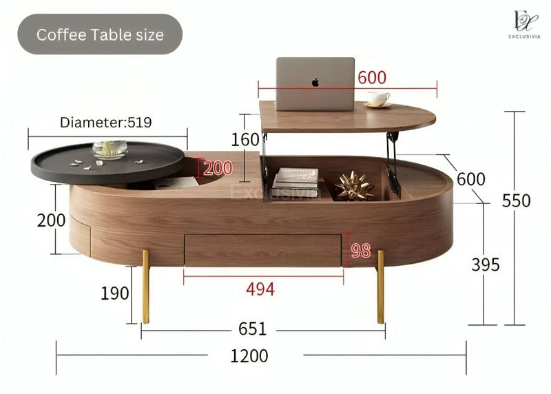 HOWNELL Modern Coffee Table & TV Console - Exclusivia