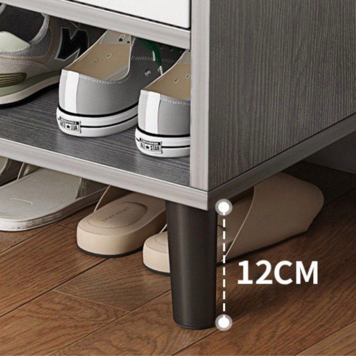 DEXON Modern Shoe Cabinet