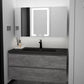 LARSL Toilet Vanity Cabinet Basin Bathroom - Exclusivia