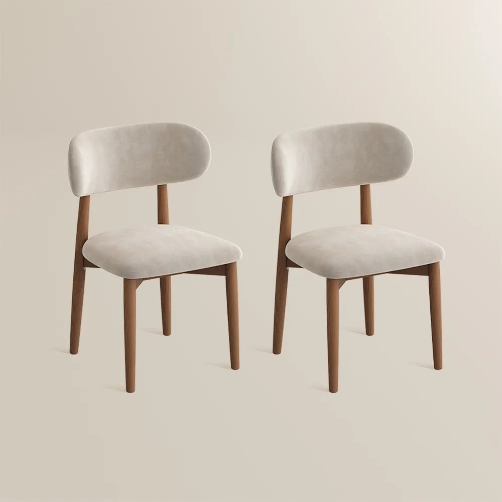 Lawson – Mid - Century Modern Dining Chair Set (2 pcs) - Exclusivia