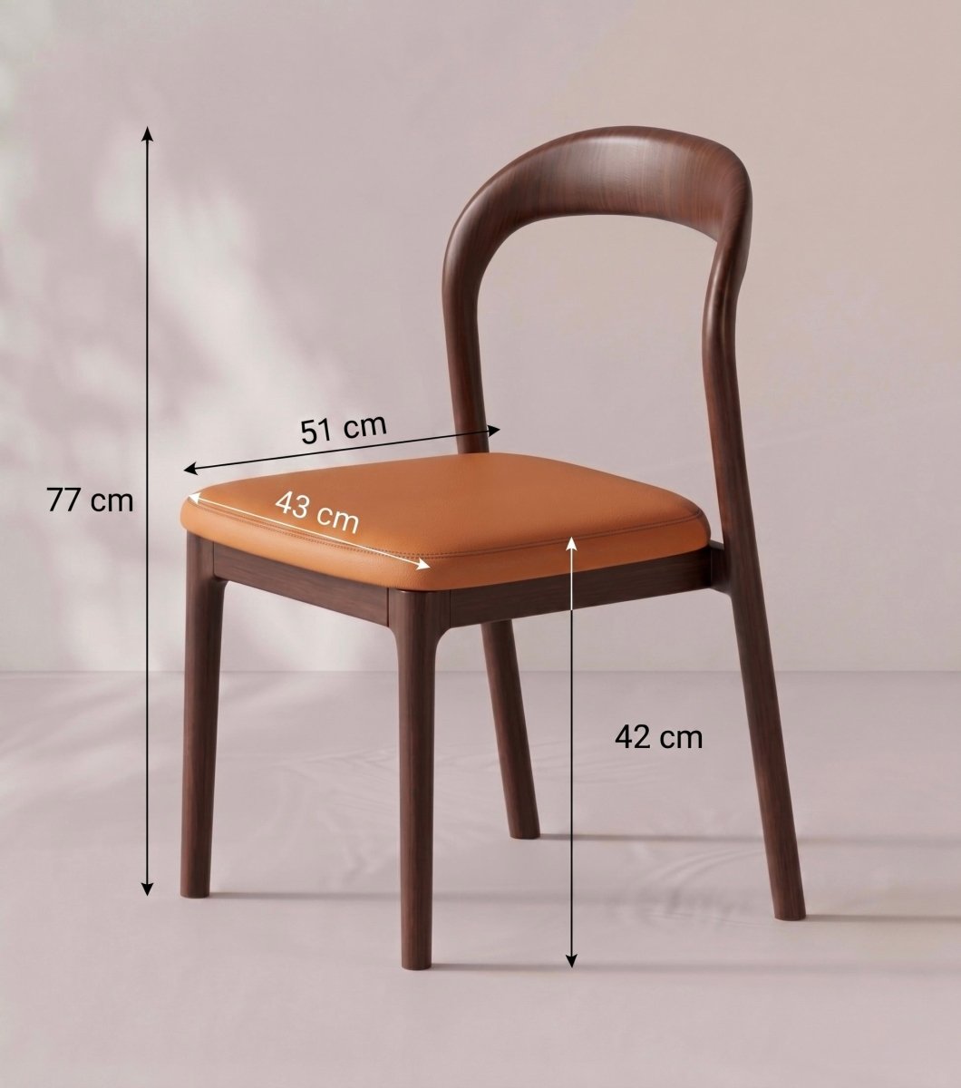 Montelune Modern Dining Chair - Exclusivia