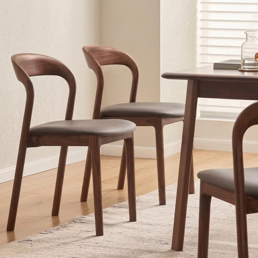 Montelune Modern Dining Chair - Exclusivia