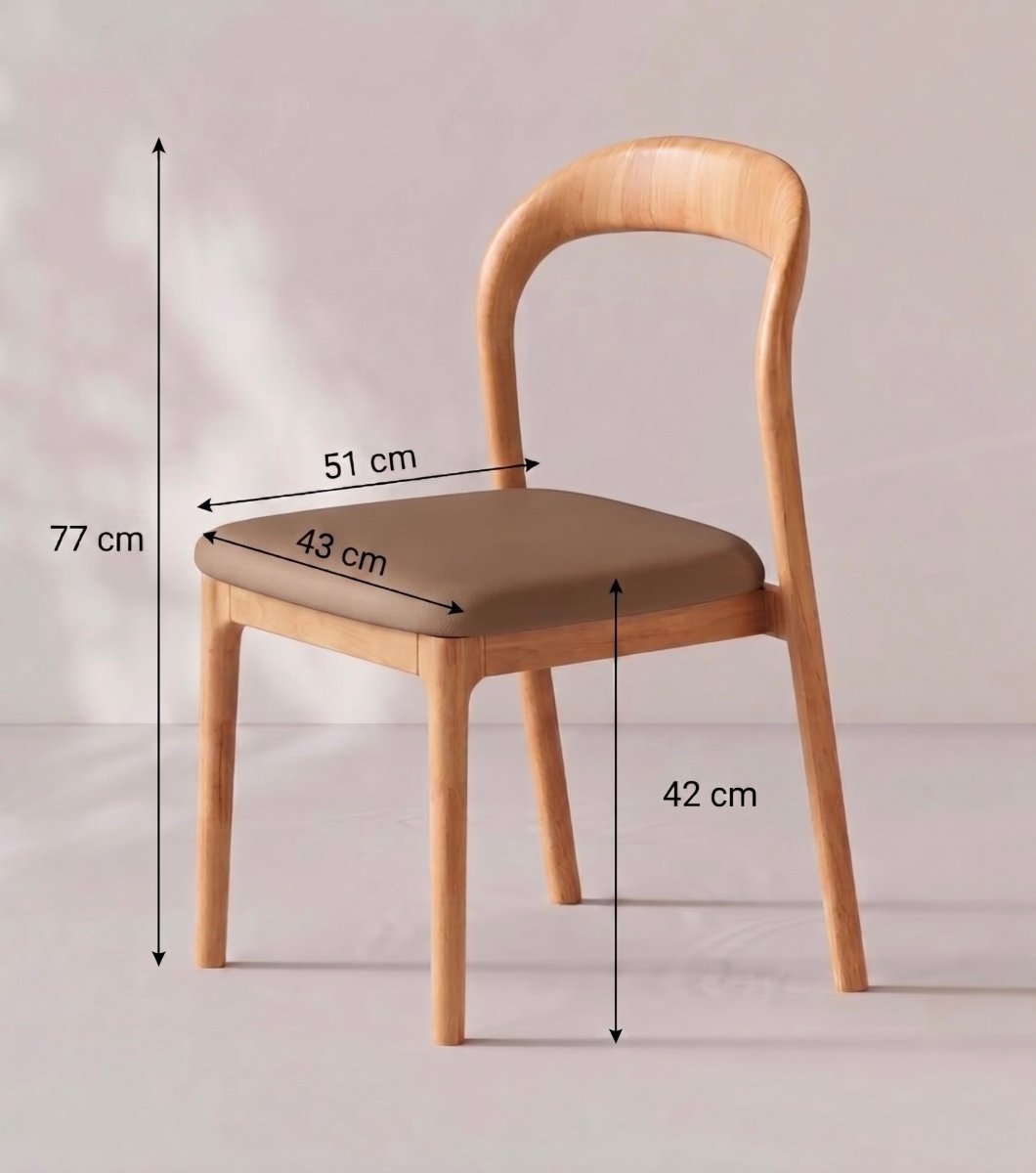 Montelune Modern Dining Chair - Exclusivia