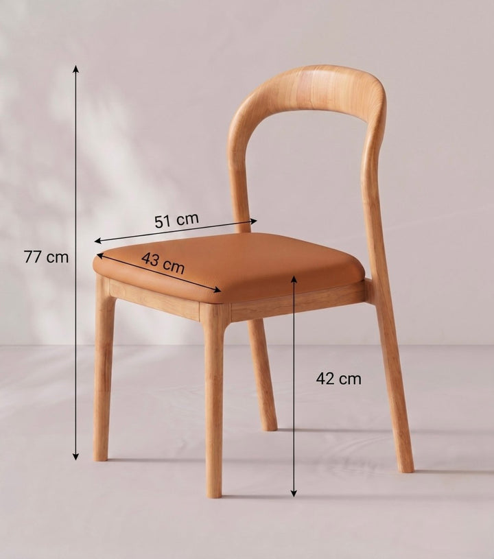 Montelune Modern Dining Chair - Exclusivia