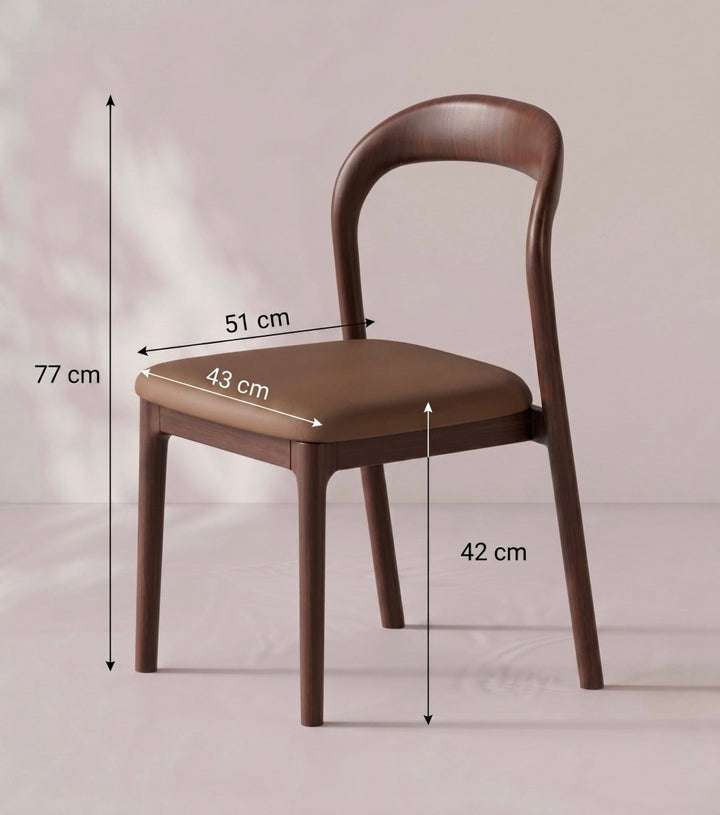 Montelune Modern Dining Chair - Exclusivia