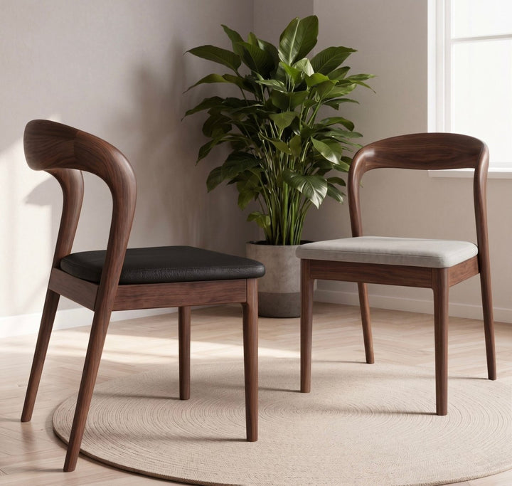 Montelune Modern Dining Chair - Exclusivia
