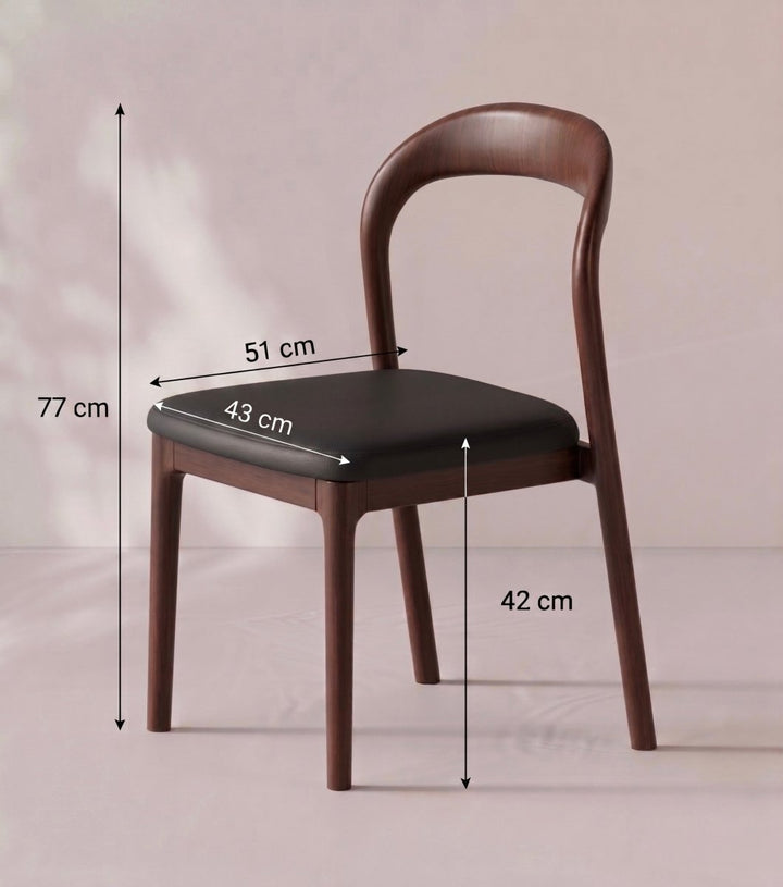Montelune Modern Dining Chair - Exclusivia