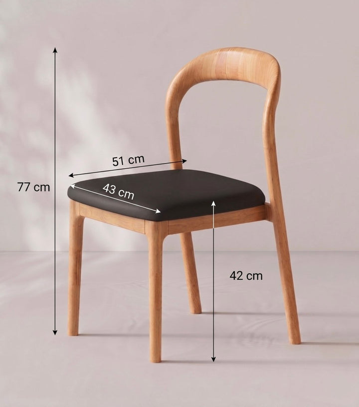 Montelune Modern Dining Chair - Exclusivia