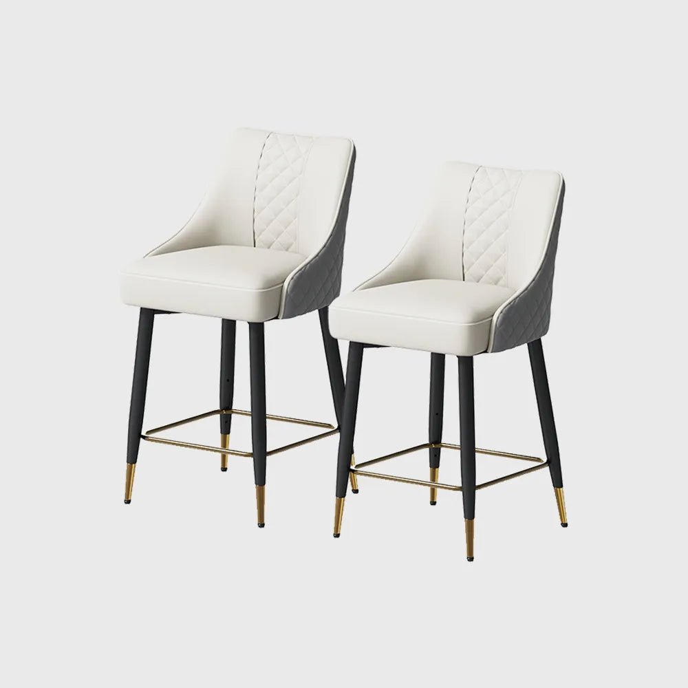 Nerida 61 cm Modern Counter Stools — Set of 2 - Exclusivia