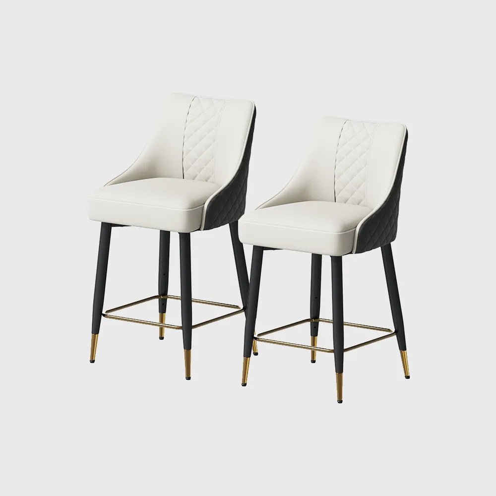 Nerida 61 cm Modern Counter Stools — Set of 2 - Exclusivia