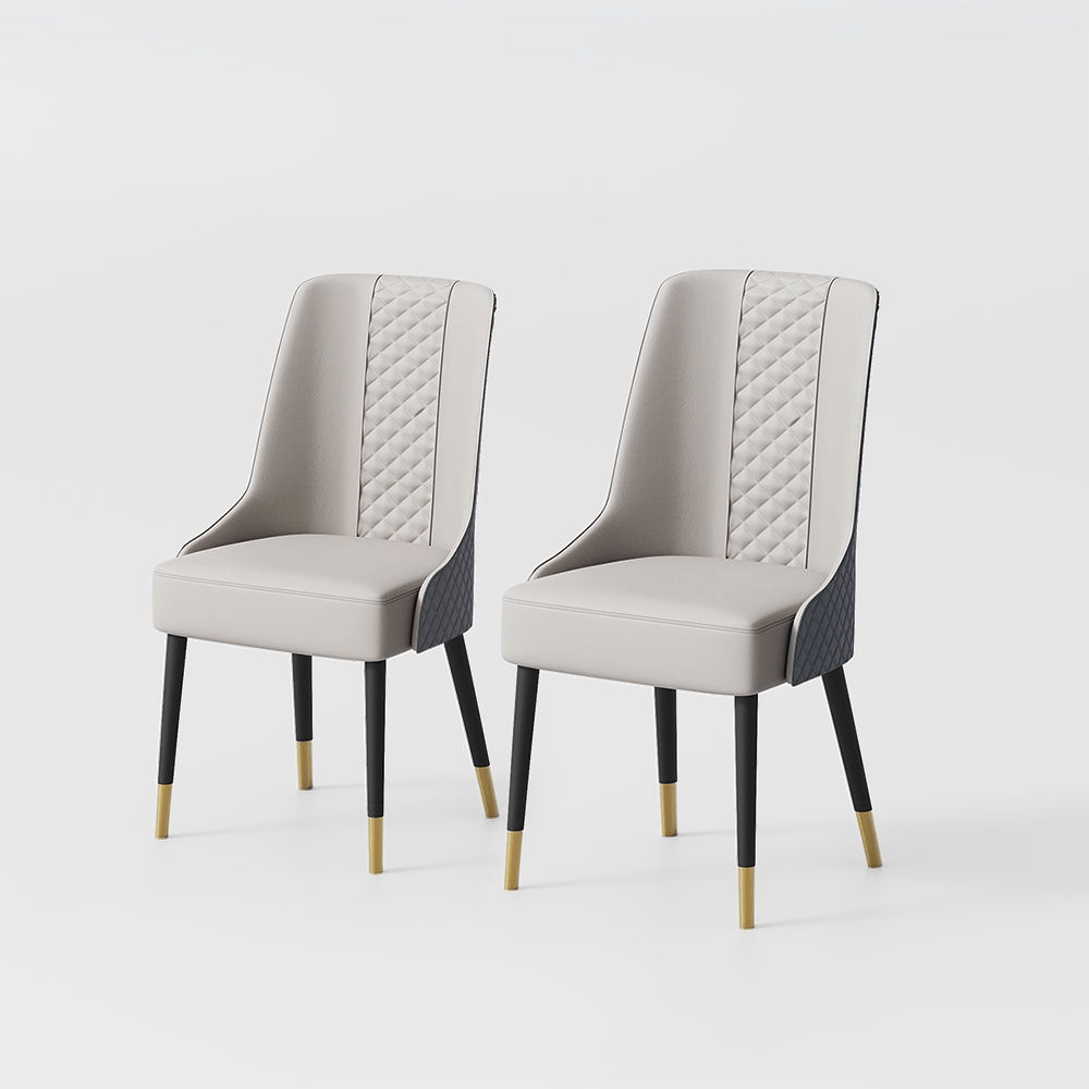 Norrin – Set of 2 Modern Upholstered Dining Chairs - Exclusivia