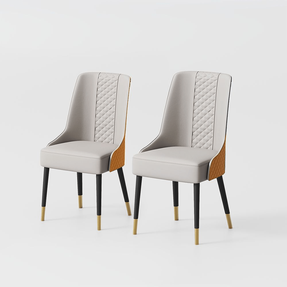 Norrin – Set of 2 Modern Upholstered Dining Chairs - Exclusivia