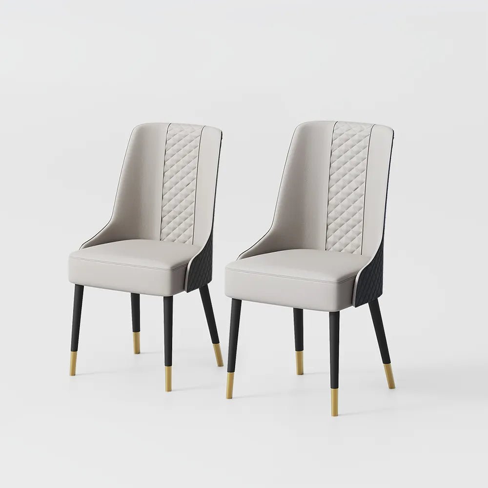 Norrin – Set of 2 Modern Upholstered Dining Chairs - Exclusivia