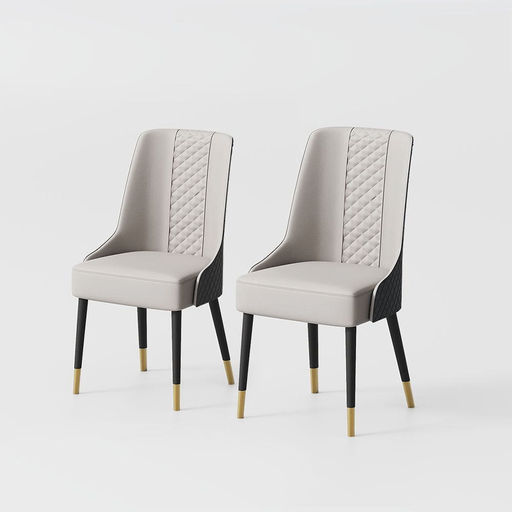 Norrin – Set of 2 Modern Upholstered Dining Chairs - Exclusivia