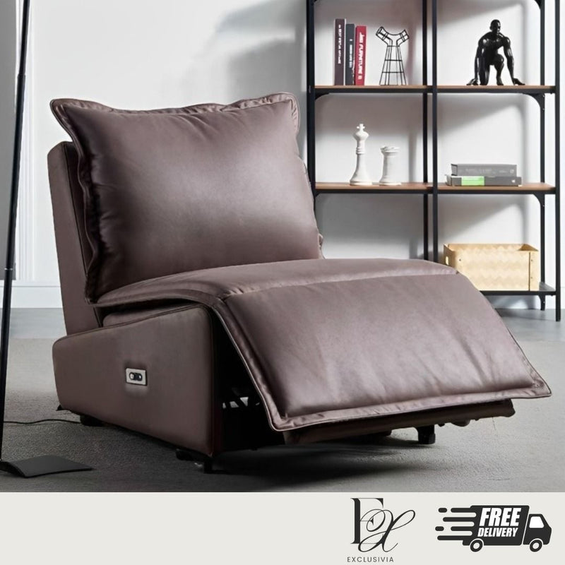 Recliner Armrest Chair 1 Seater Sofa Swivel Armchair Retractable Electronic Lounge Chair Daybed - Exclusivia