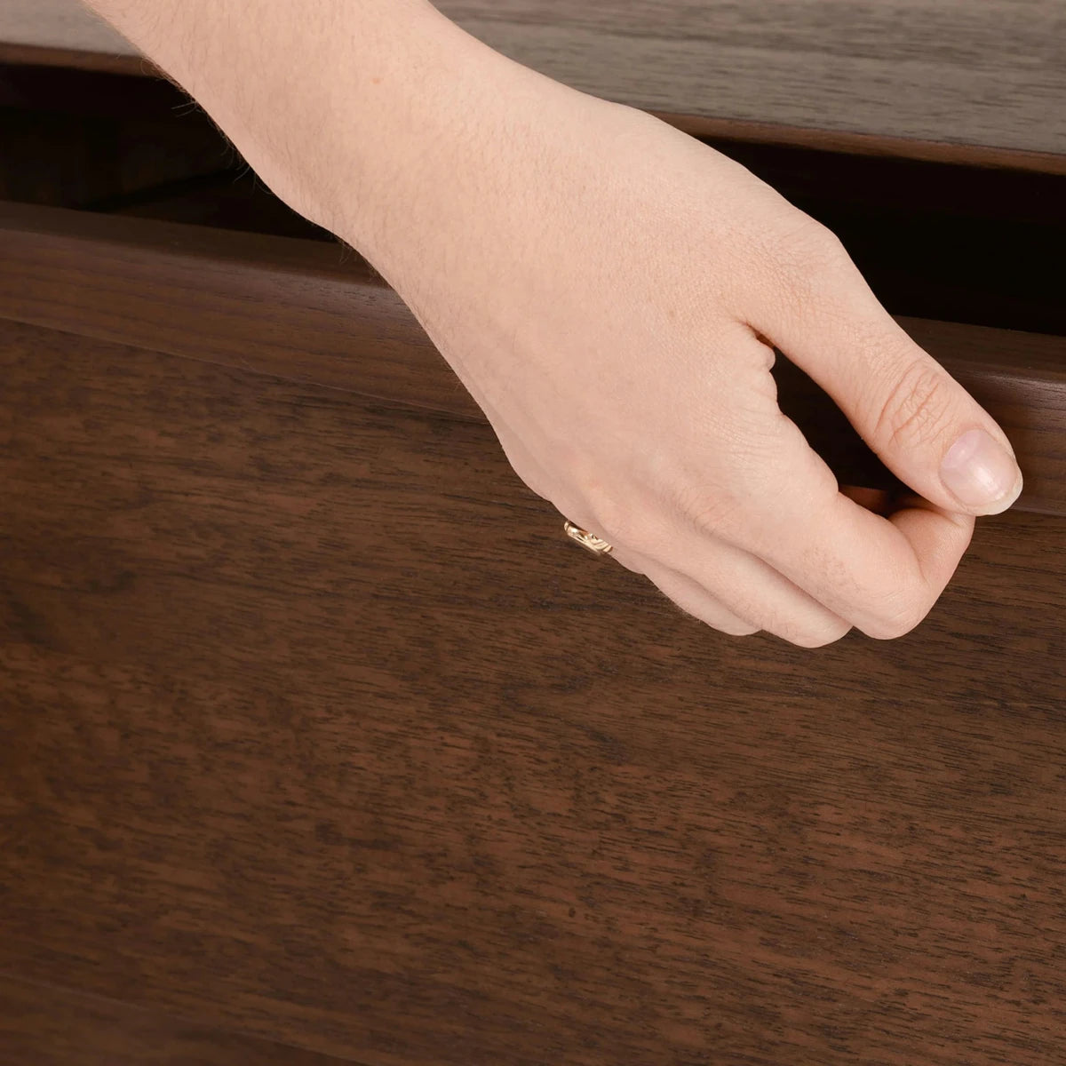 Soren Vale Chest - Exclusivia