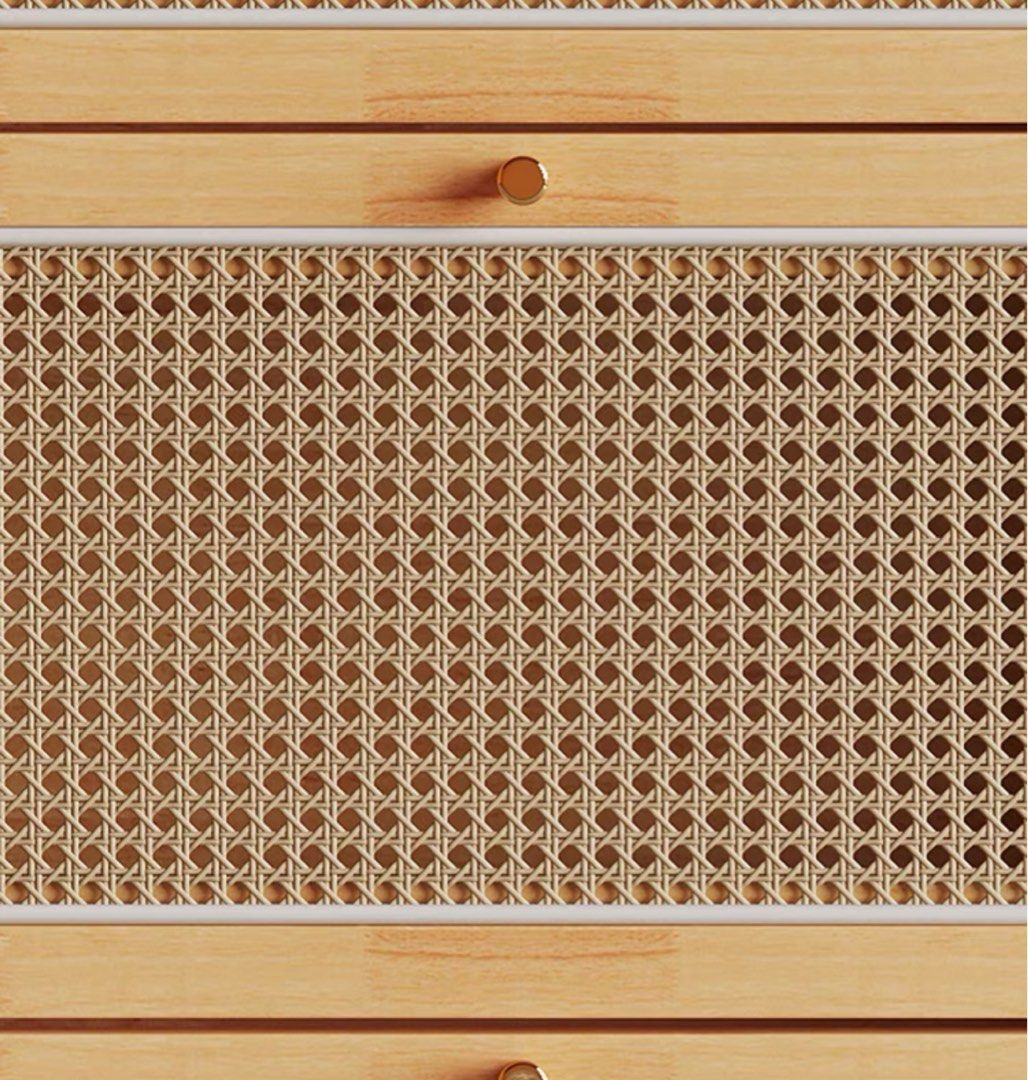 TAVEX Rattan Slim Shoe Cabinet - Exclusivia