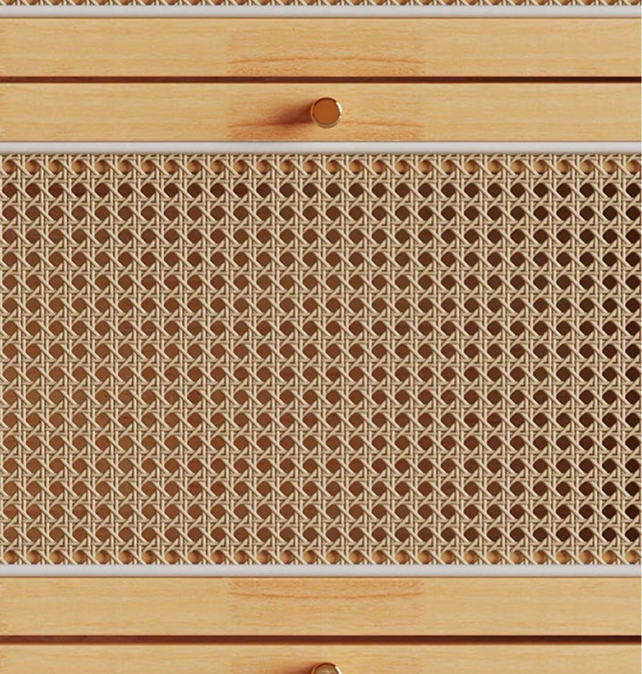 TAVEX Rattan Slim Shoe Cabinet - Exclusivia