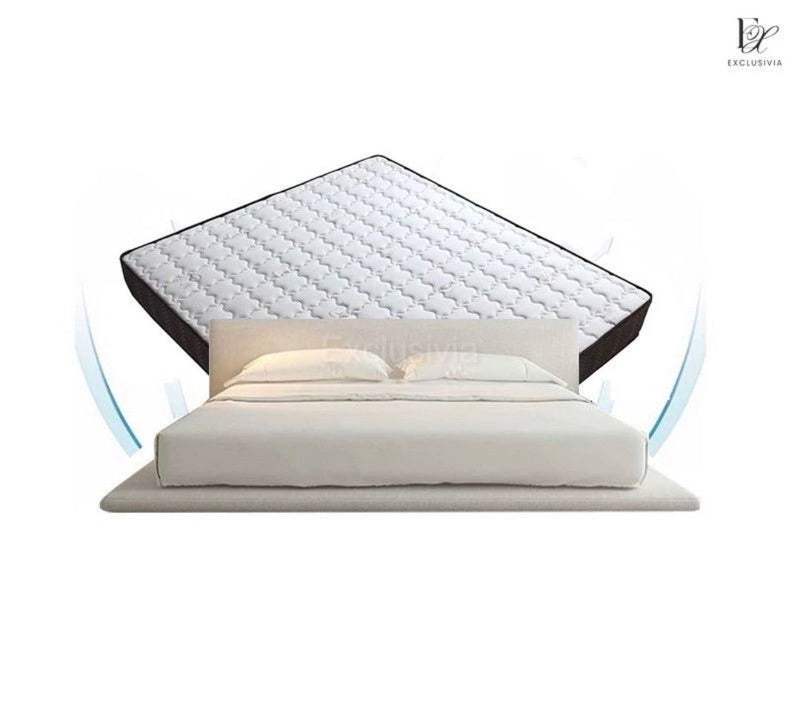 TOPLO Modern Platform Bedframe - Exclusivia