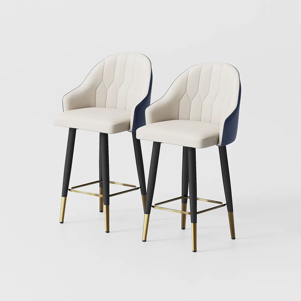 Torin 61 cm Modern Counter Stools – Set of 2 - Exclusivia