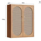 CLYDE Modern Rattan Shoe Cabinet - Exclusivia