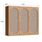 CLYDE Modern Rattan Shoe Cabinet - Exclusivia