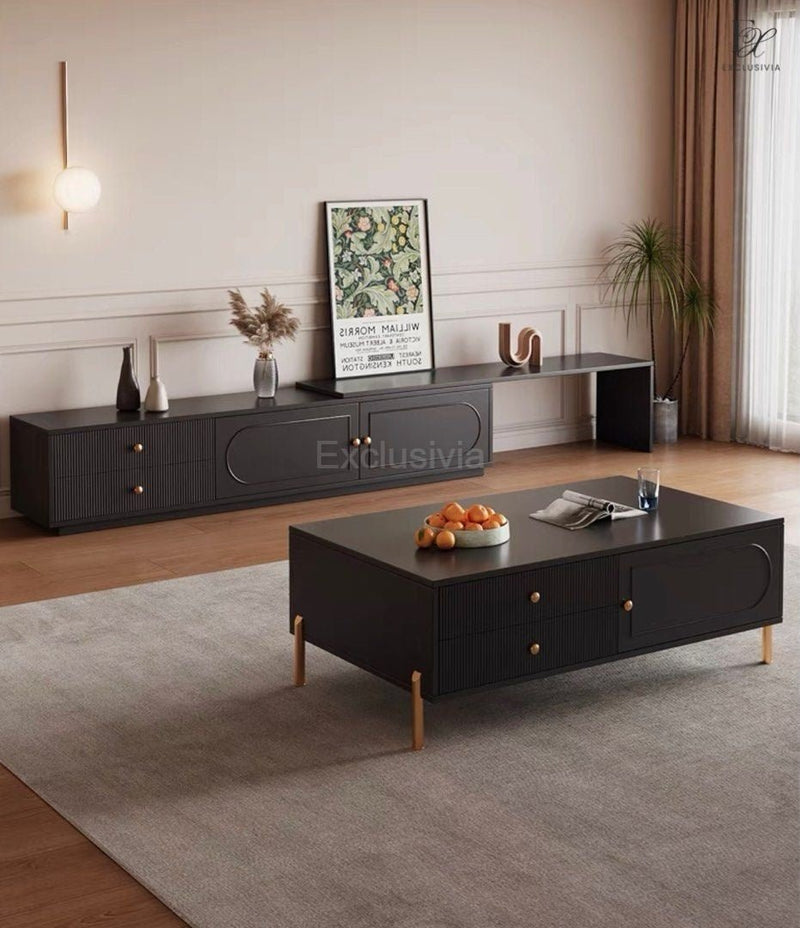 POOCH Modern TV Console - Exclusivia